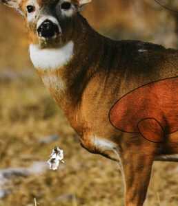 Staying in The Black: The Thompson Center 3 Impact Muzzleloader - Full Review Staying in The Black: The Thompson Center 3 Impact Muzzleloader - Full Review