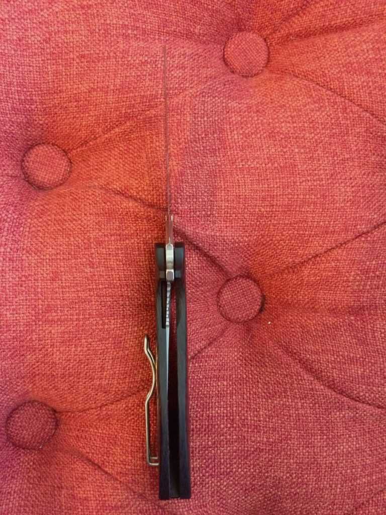 A Nice Option for Summer Carry: Spyderco Positron - Knife Review