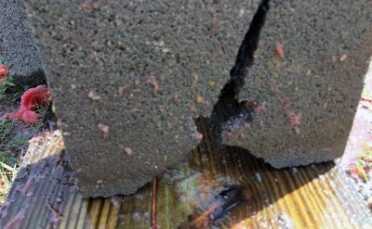 If You Could Only Own One Rifle: Ruger Gunsite Scout Rifle .450 Bushmaster — Full Review