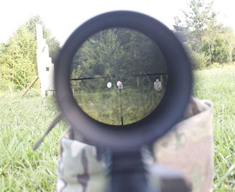 A Carbine for All Occasions — DoubleStar ARC 300