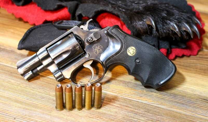 When Bears Attack — Top Sidearms to Carry in Bear Country When Bears Attack — Top Sidearms to Carry in Bear Country