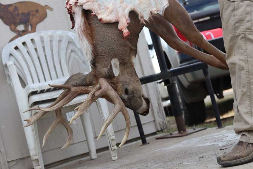 2017's Top 5 Best Days of the Whitetail Rut