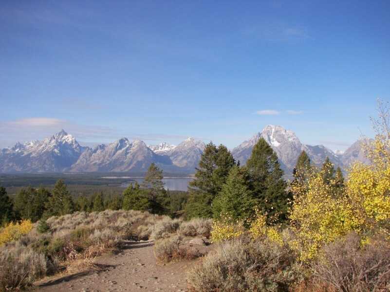 Top 10 Exotic Hunts That Should Be on Your Bucket List Top 10 Exotic Hunts That Should Be on Your Bucket List