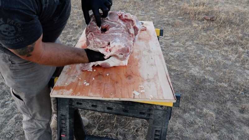 G9 Bullets: Something Wicked This Way Comes