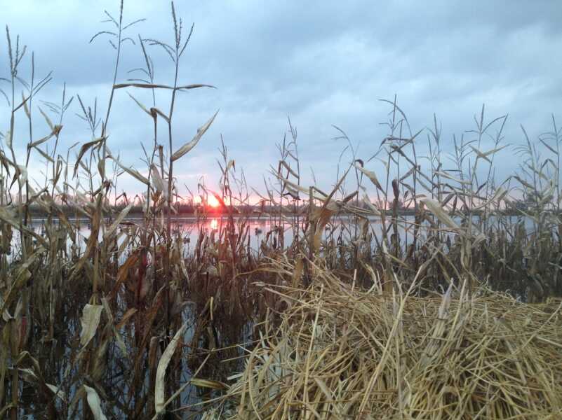 Fall 2018 Waterfowl Weather Forecasts Fall 2018 Waterfowl Weather Forecasts