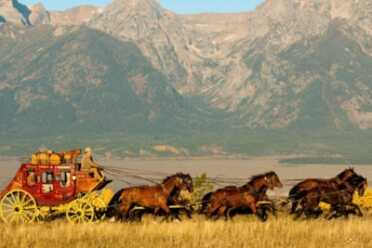 Wells Fargo Stuns Anti-Gun Nuns, Floats Ruger a Million Loan Wells Fargo Stuns Anti-Gun Nuns, Floats Ruger a Million Loan