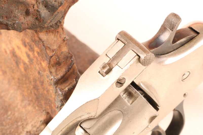 The Assassination of William McKinley: Of Hopeless Causes and One Seriously Pathetic Pistol The Assassination of William McKinley: Of Hopeless Causes and One Seriously Pathetic Pistol