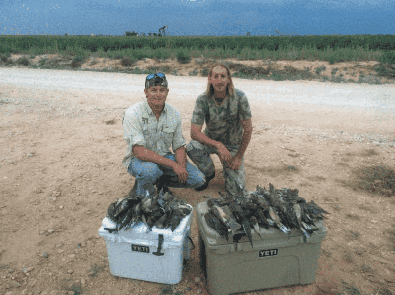 Sweat, Blood, and Birds: 5 Tips for September Dove Fields