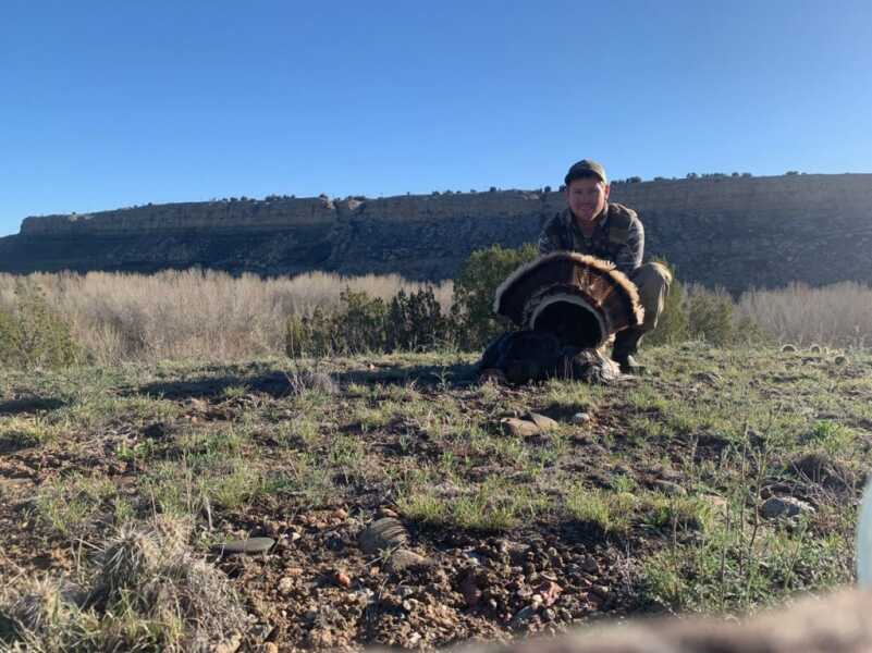 Turkeys: Public Land Diplomacy Turkeys: Public Land Diplomacy
