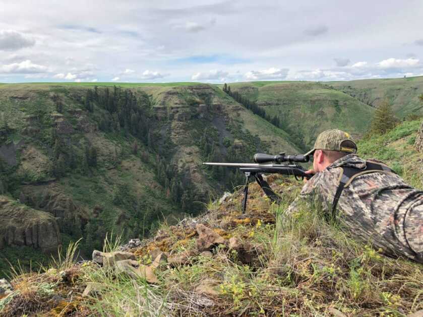 Leupold VX-5HD 4-20X52MM Riflescope Review Leupold VX-5HD 4-20X52MM Riflescope Review