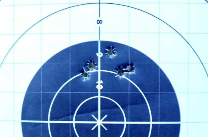 Canik ONE Series: Serious Bang for Your Buck