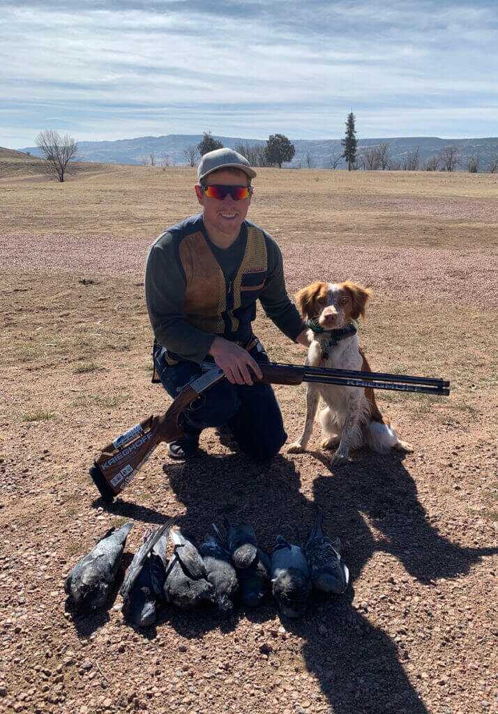 5 Dove Hunting Tips 5 Dove Hunting Tips