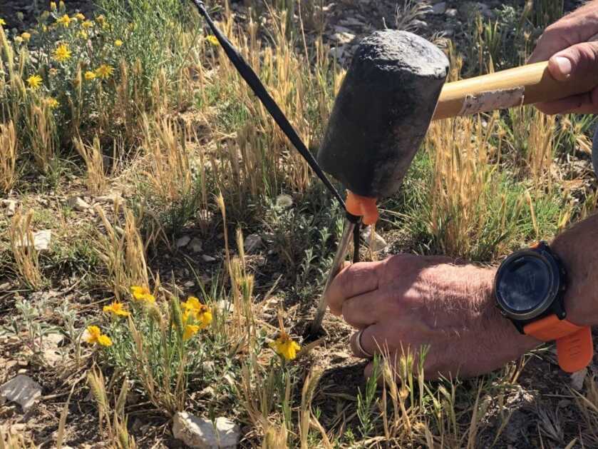 Pronghorn Part III: Setting The Blind Pronghorn Part III: Setting The Blind