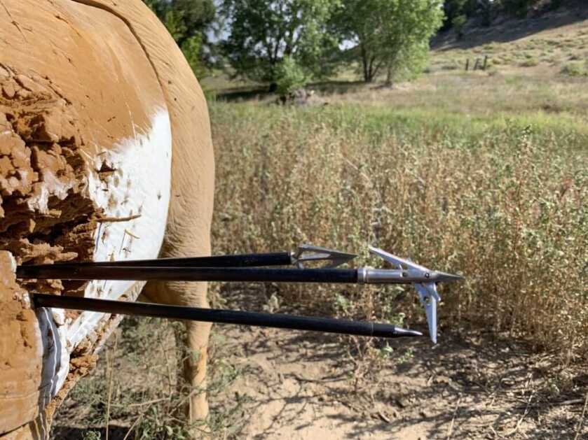 Field Test: QAD Integrate MX Field Test: QAD Integrate MX