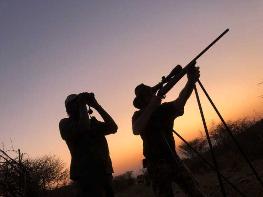 New Federal .284/7mm 155 Grain Edge TLR Bullet Review