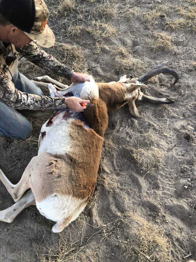 True Grit: Hunter's 2019 Pronghorn True Grit: Hunter's 2019 Pronghorn