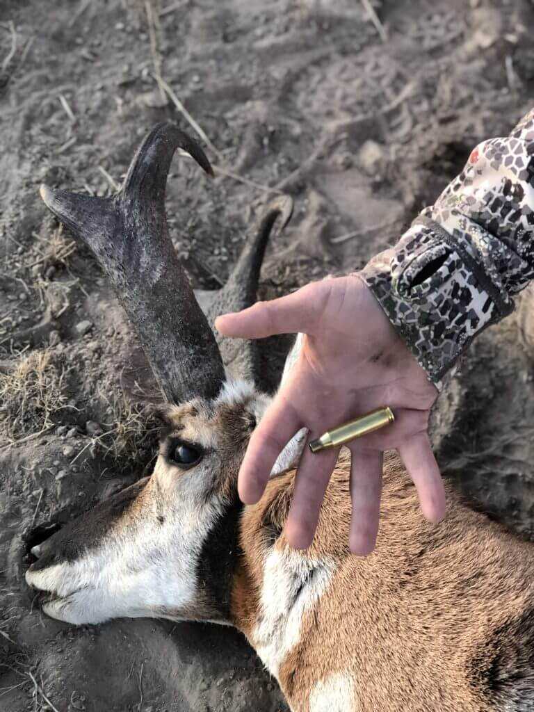 True Grit: Hunter's 2019 Pronghorn True Grit: Hunter's 2019 Pronghorn