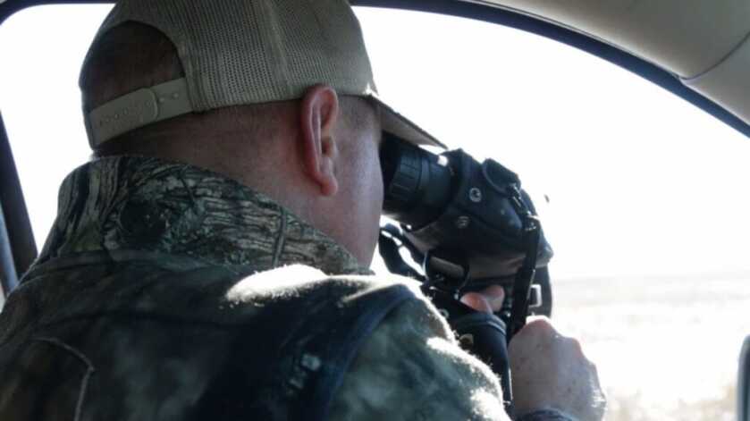 November Mulies? Yes, Please! November Mulies? Yes, Please!