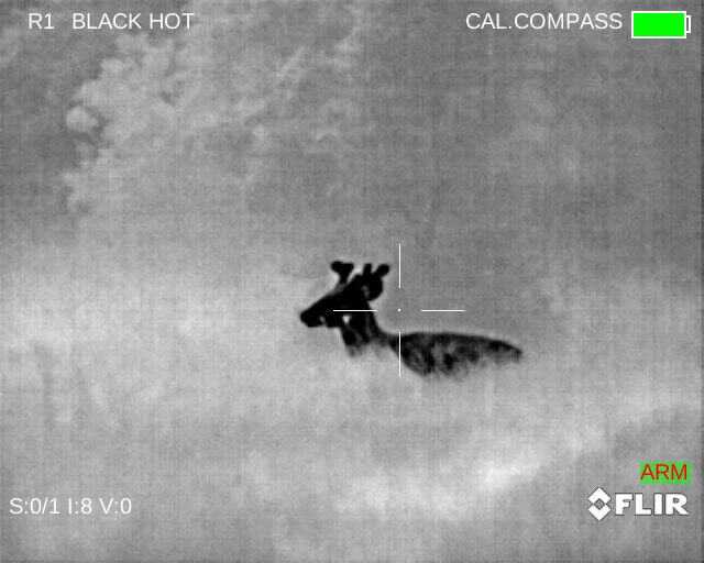 Eliminate Darkness with the FLIR PTS736 Thermosight Pro - Full Review Eliminate Darkness with the FLIR PTS736 Thermosight Pro - Full Review