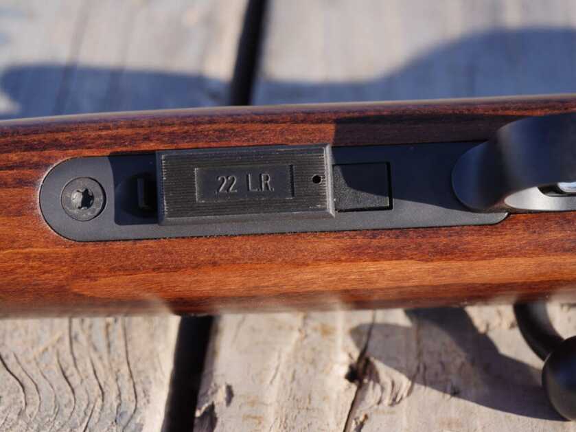 CZ's New Tack Driver Comes Sized For Youth: CZ 457 Scout CZ's New Tack Driver Comes Sized For Youth: CZ 457 Scout