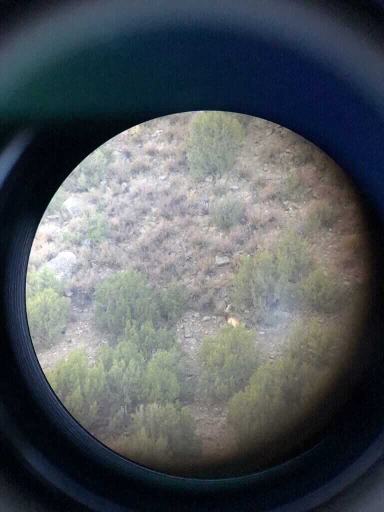 Elk Hunting: Don't Make It Miserable! Elk Hunting: Don't Make It Miserable!