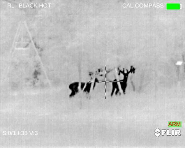 Eliminate Darkness with the FLIR PTS736 Thermosight Pro - Full Review Eliminate Darkness with the FLIR PTS736 Thermosight Pro - Full Review