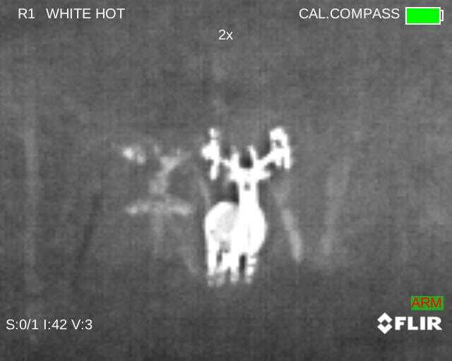 Eliminate Darkness with the FLIR PTS736 Thermosight Pro - Full Review Eliminate Darkness with the FLIR PTS736 Thermosight Pro - Full Review