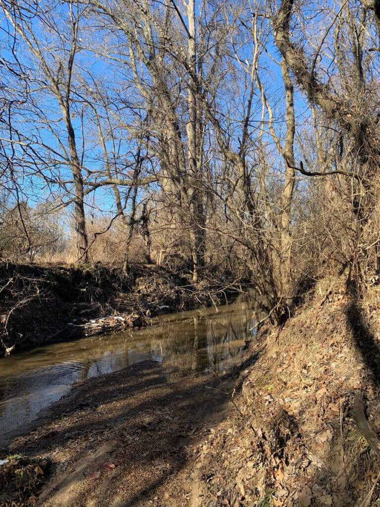 January Is a Great Time to Hunt Squirrels January Is a Great Time to Hunt Squirrels