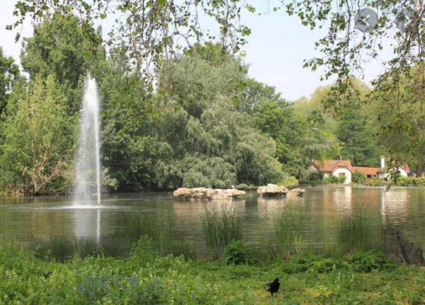 The Boxer That Saved a Princess: “Not Bloody Likely!” The Boxer That Saved a Princess: “Not Bloody Likely!”