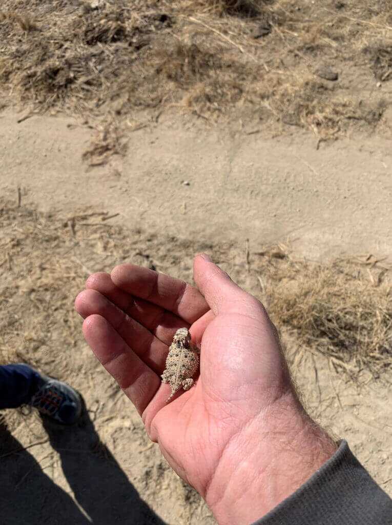 The Worst Antelope Hunt Ever The Worst Antelope Hunt Ever