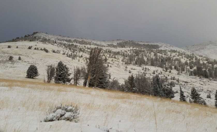 The Last Piece of the Puzzle: Glassing Tips for Hunters The Last Piece of the Puzzle: Glassing Tips for Hunters