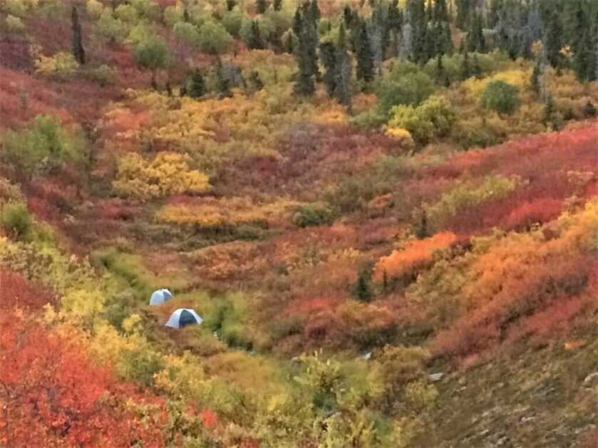 Assembling an Alaskan Hunting Rifle: Part Two Assembling an Alaskan Hunting Rifle: Part Two