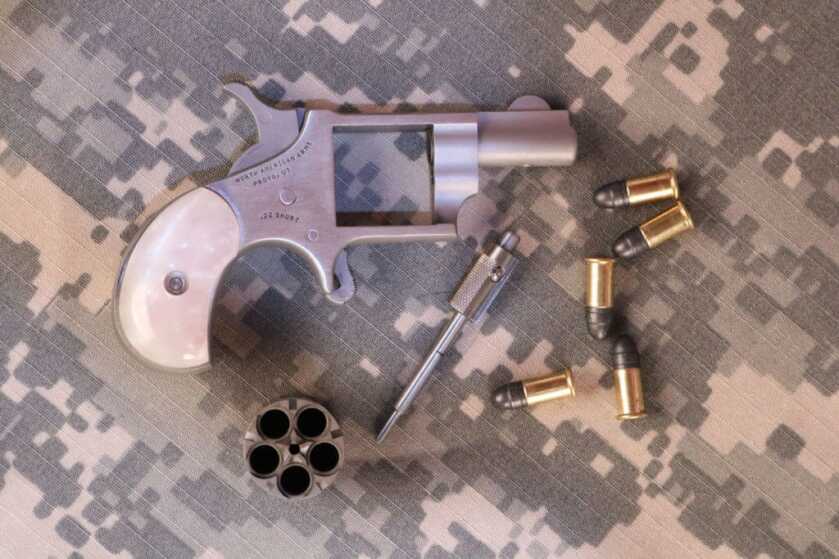 The Tiny Pocket-Sized North American Arms Zebra Killer