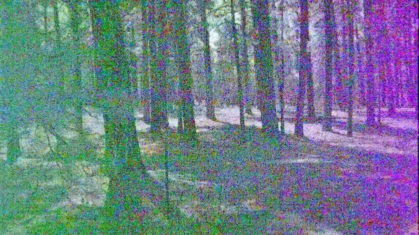 SiOnyx Aurora Pro - Improved Poor man’s PVS-14? SiOnyx Aurora Pro - Improved Poor man’s PVS-14?