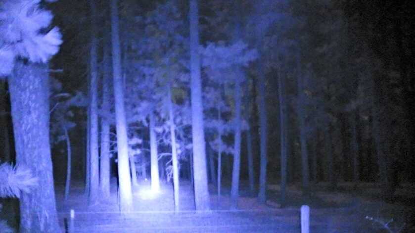 SiOnyx Aurora Pro - Improved Poor man’s PVS-14? SiOnyx Aurora Pro - Improved Poor man’s PVS-14?