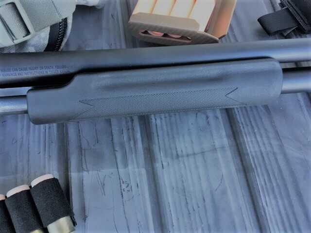 Local Gun Store COVID Availability Challenge: Hurricane Butterfly's Cyclone Shotgun 9 Local Gun Store COVID Availability Challenge: Hurricane Butterfly's Cyclone Shotgun 9