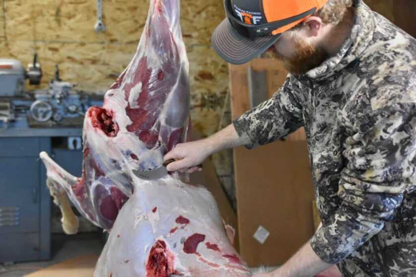 In the Woods: December Archery Deer Hunt in Idaho Part 3 of 3 In the Woods: December Archery Deer Hunt in Idaho Part 3 of 3