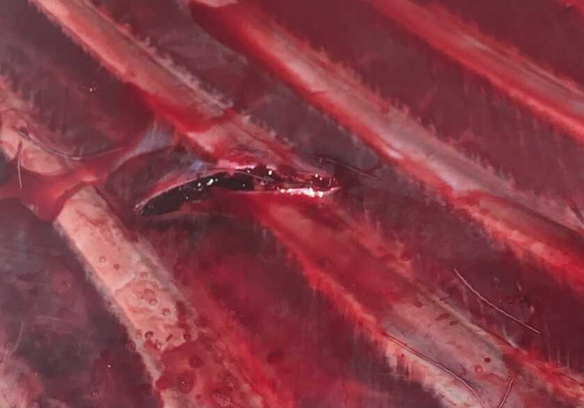 In the Woods: December Archery Deer Hunt in Idaho Part 3 of 3 In the Woods: December Archery Deer Hunt in Idaho Part 3 of 3