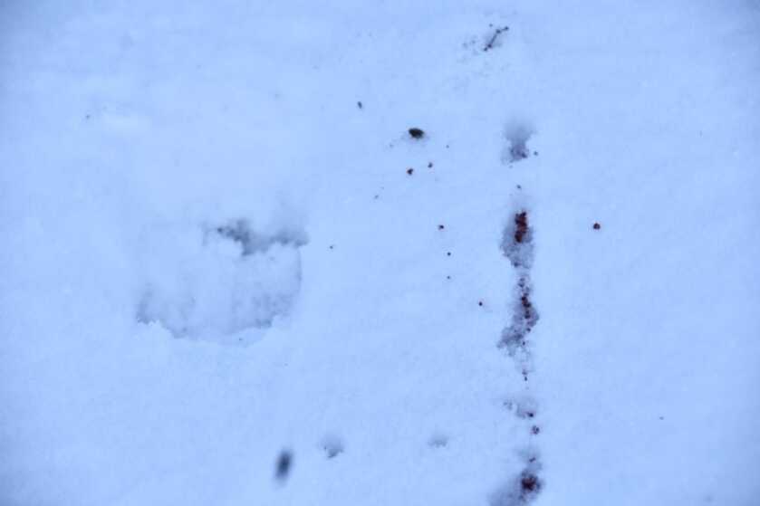 In the Woods: December Archery Deer Hunt in Idaho Part 3 of 3 In the Woods: December Archery Deer Hunt in Idaho Part 3 of 3