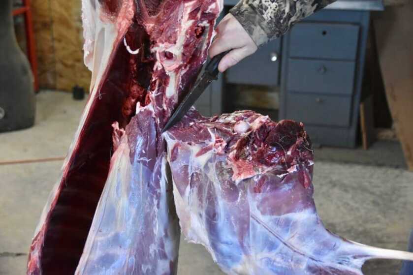 In the Woods: December Archery Deer Hunt in Idaho Part 3 of 3 In the Woods: December Archery Deer Hunt in Idaho Part 3 of 3