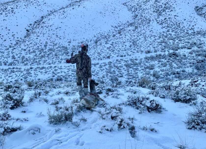 In the Woods: December Archery Deer Hunt in Idaho Part 3 of 3 In the Woods: December Archery Deer Hunt in Idaho Part 3 of 3