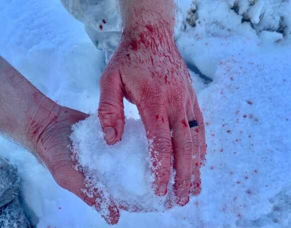 In the Woods: December Archery Deer Hunt in Idaho Part 3 of 3 In the Woods: December Archery Deer Hunt in Idaho Part 3 of 3