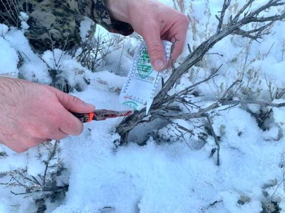 In the Woods: December Archery Deer Hunt in Idaho Part 3 of 3 In the Woods: December Archery Deer Hunt in Idaho Part 3 of 3