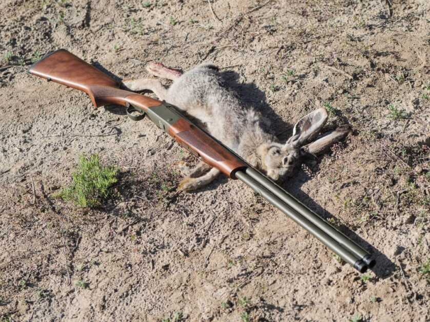 CZ-USA's Upland Ultralight All-Terrain (20 ga OU)