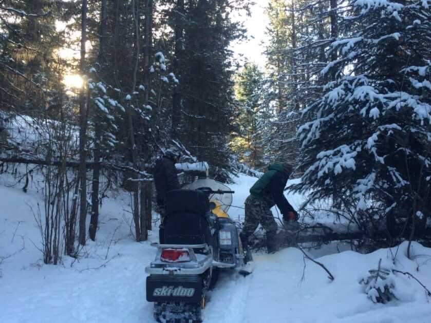 Tips For Winter Hound Hunts