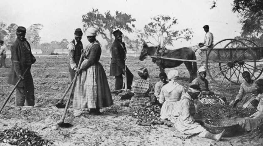 The Siege of Vicksburg, Slavery, and a Freshly-Dug Rose Bed The Siege of Vicksburg, Slavery, and a Freshly-Dug Rose Bed