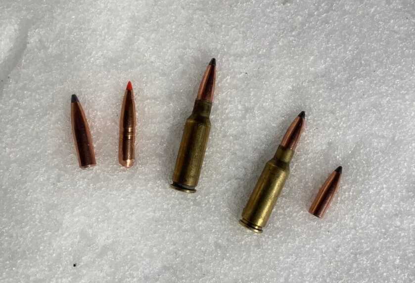 Hunting in Our Current Situation: Bullets/Calibers and Options for Preserving Your Ammo Hunting in Our Current Situation: Bullets/Calibers and Options for Preserving Your Ammo