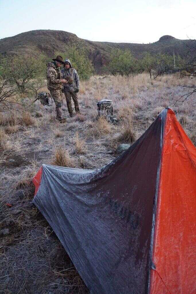 Desert Deer: A Week of Adventure