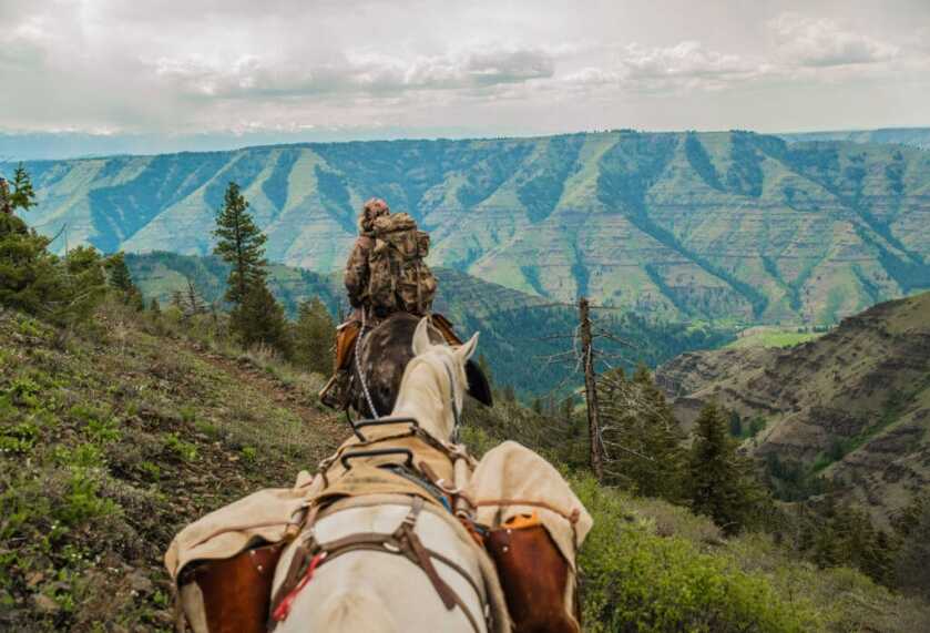 Destination Hunting In COVID Times