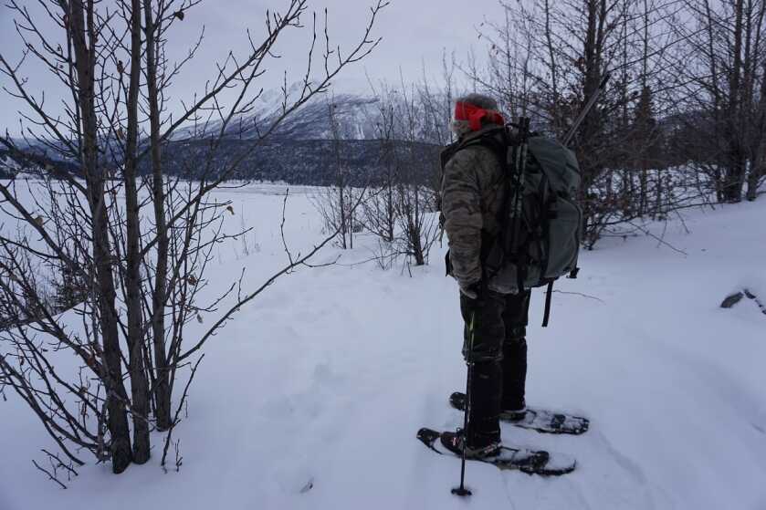 Last Frontier Bison: Hunting Alaska's Largest Land Mammal Last Frontier Bison: Hunting Alaska's Largest Land Mammal